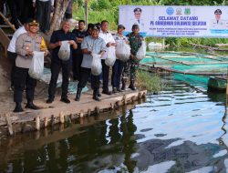Di Pinrang, Pj Gubernur Sulsel Kunjungi Bangsal Pasca Panen, Tebar Benih Ikan dan Inseminasi Buatan