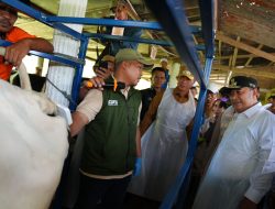 Melalui Inseminasi Buatan, Pj Gubernur Sulsel Target Enrekang Jadi Sentral Sapi Perah