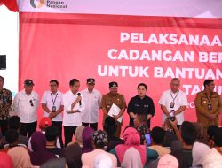 Presiden Jokowi Bagikan Bantuan Pangan kepada 1.000 KPM di Maros