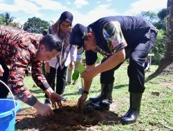 Selain Ikan Bandeng, Pangkep Diharapkan Jadi Penghasil Nangka Madu