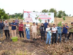 Dorong Skala Industri, Pj Gubernur Bahtiar Galakkan Penanaman 2 Juta Pohon Nangka Madu di Sulsel