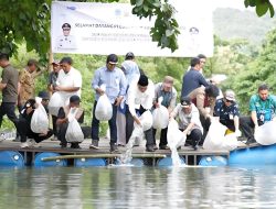 Pemprov Sulsel Tebar 200 Ribu Benih Ikan Nila di Barru