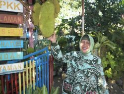 Ketua TP PKK Kota Makassar Dorong Promosi Potensi Wisata di Pulau Lae-Lae