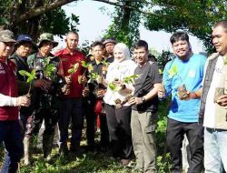Camat Panakkukang Tanam 1.000 Pohon di Pampang, Perkuat Mitigasi Iklim